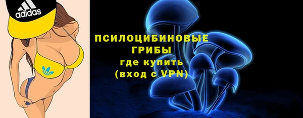 стафф Алексин