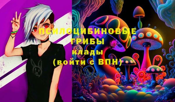 дживик Алзамай