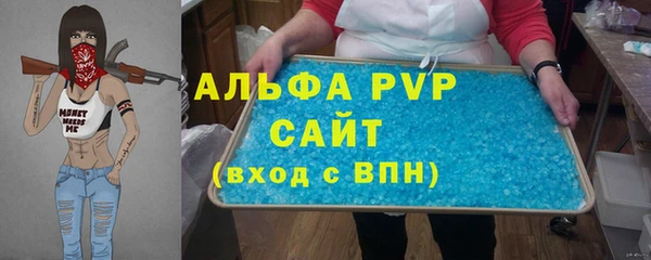 стафф Алексин