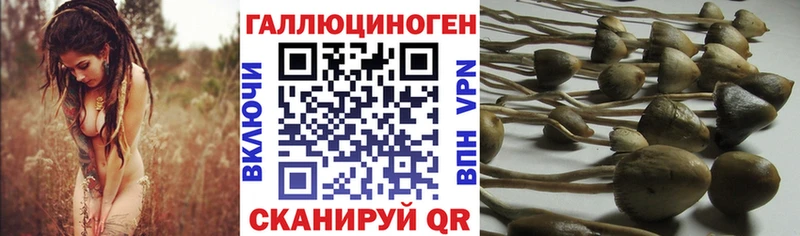 Псилоцибиновые грибы MAGIC MUSHROOMS  Ухта 